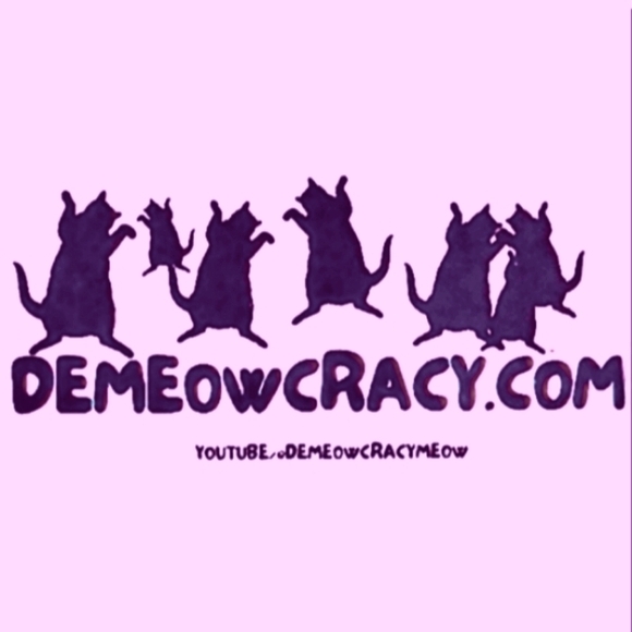 Over the Knee Striped Socks Black and Purple OTK Thigh High Tights New - Picture 16 of 16